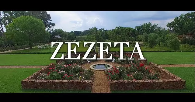 Wcb_tweets on Twitter: "#Zezeta By @rayvanny Video Out Now Link On My Bio https://t.co/74hxNTUPLC" / Twitter
