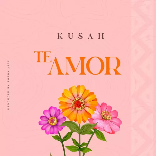 Stream Te Amor by Kusah | Listen online for free on SoundCloud