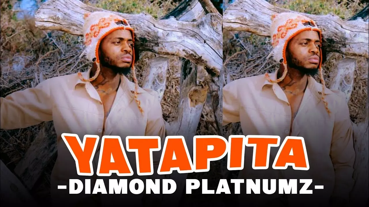 Diamond Platnumz - Yatapita (Official Music Video) - YouTube