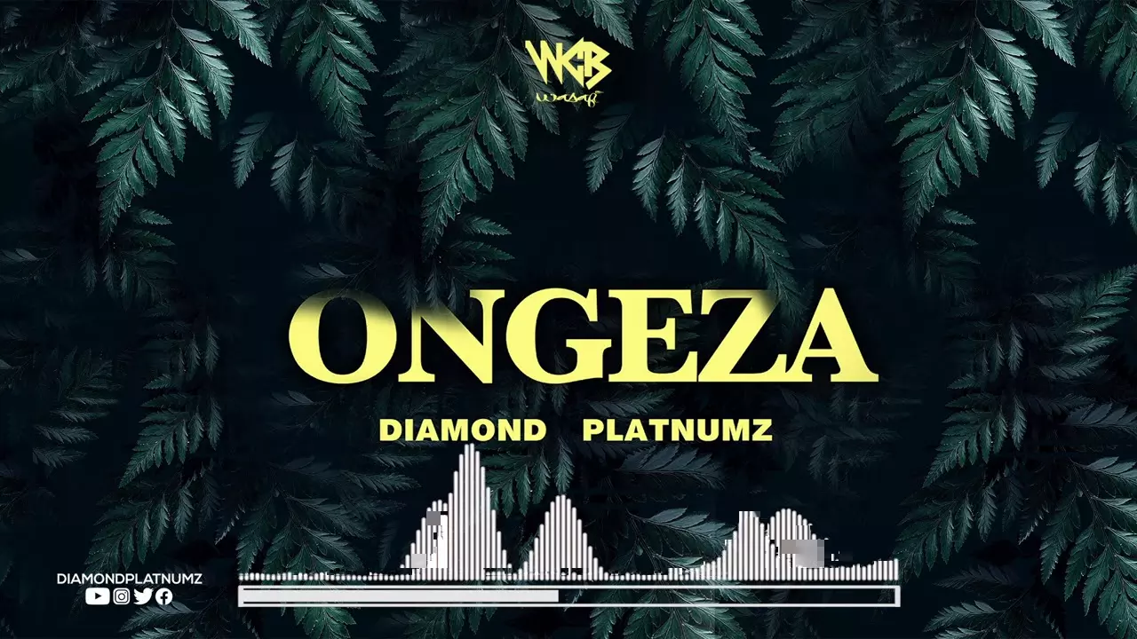 Diamond Platnumz - Ongeza (Official Audio) - YouTube