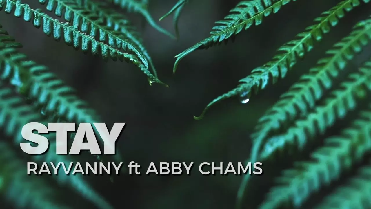 Rayvanny - Stay ft Abby Chams - YouTube