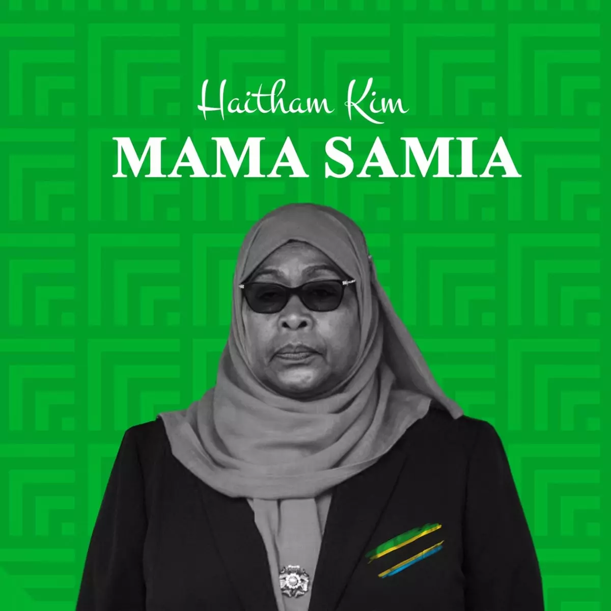 Mama Samia - Single by Haitham Kim on Apple Music