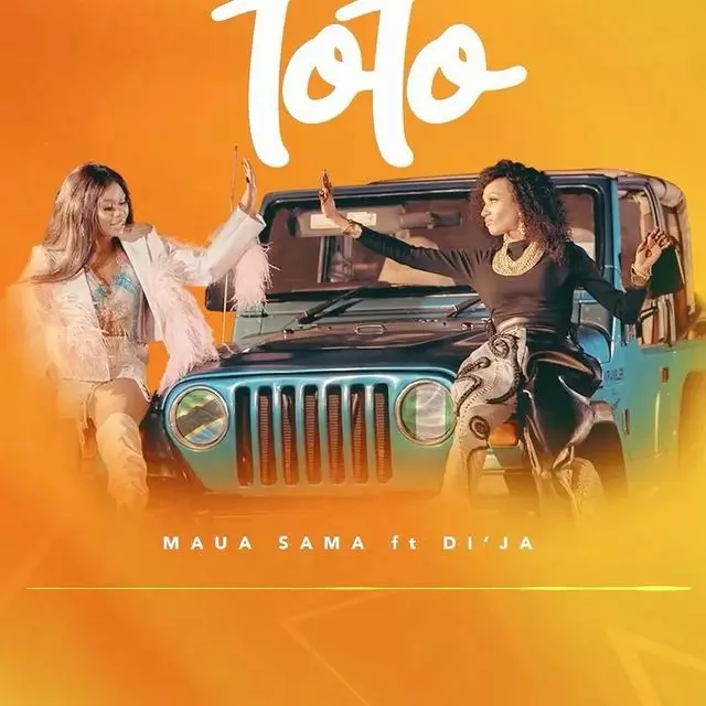 MP3 DOWNLOAD Maua Sama Ft Di'Ja - Toto