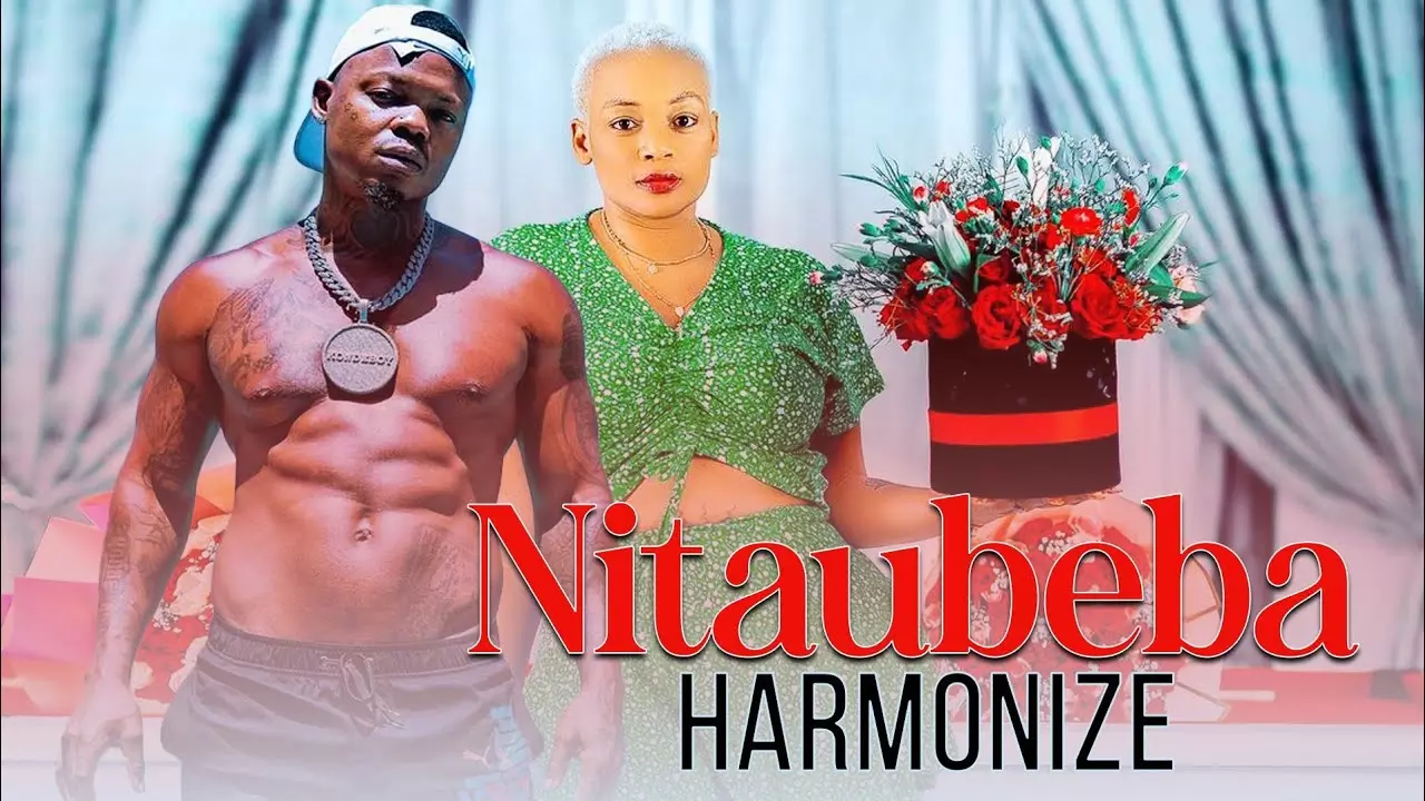 Harmonize - Nitaubeba (Official Music Video) - YouTube