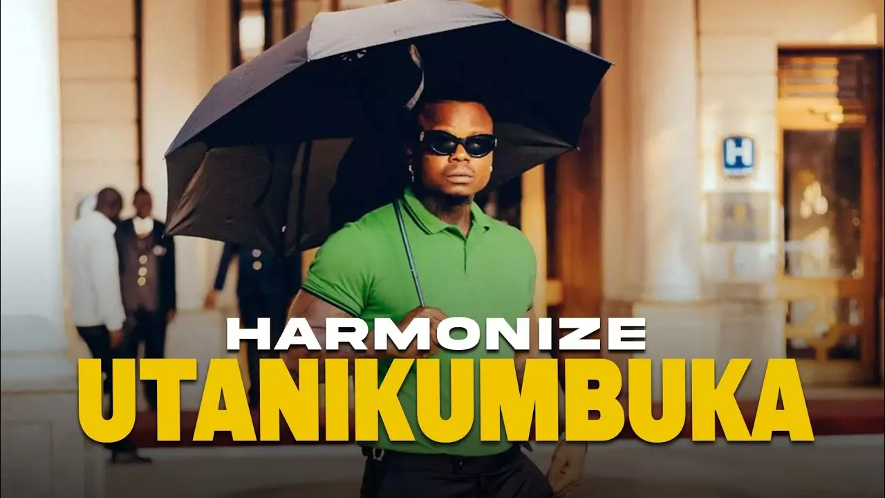 Harmonize - Utanikumbuka (Official Video Lyrics) - YouTube