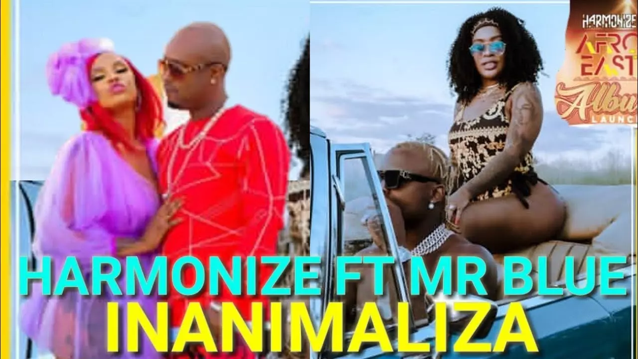 Harmonize Ft Mr Blue -Inanimaliza (Official Music Video)AfroEast Album - YouTube