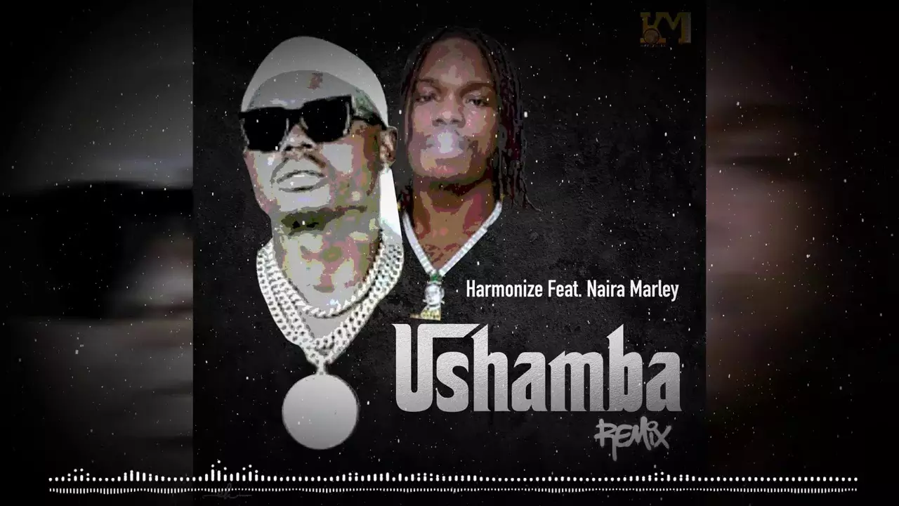 Harmonize Ft Naira Marley - Ushamba Remix (Official Audio) - YouTube