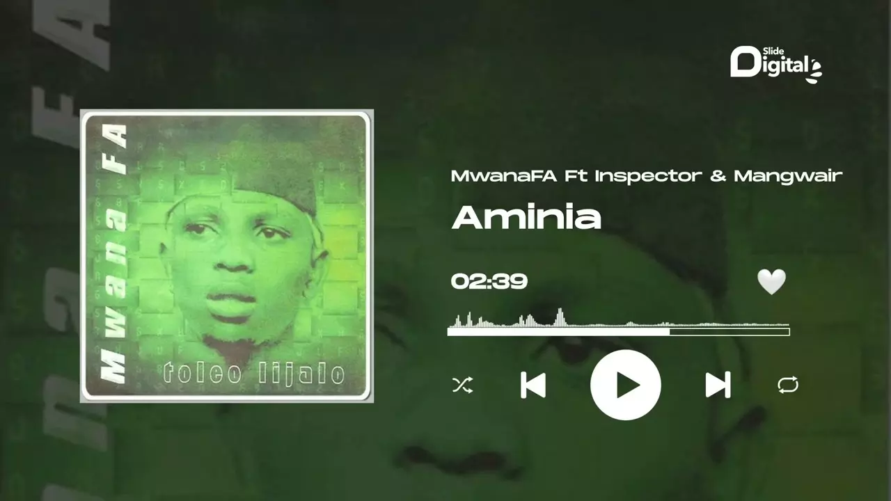 MwanaFA Feat. Inspector Haroun & Ngwair - Aminia (Official Audio) - YouTube