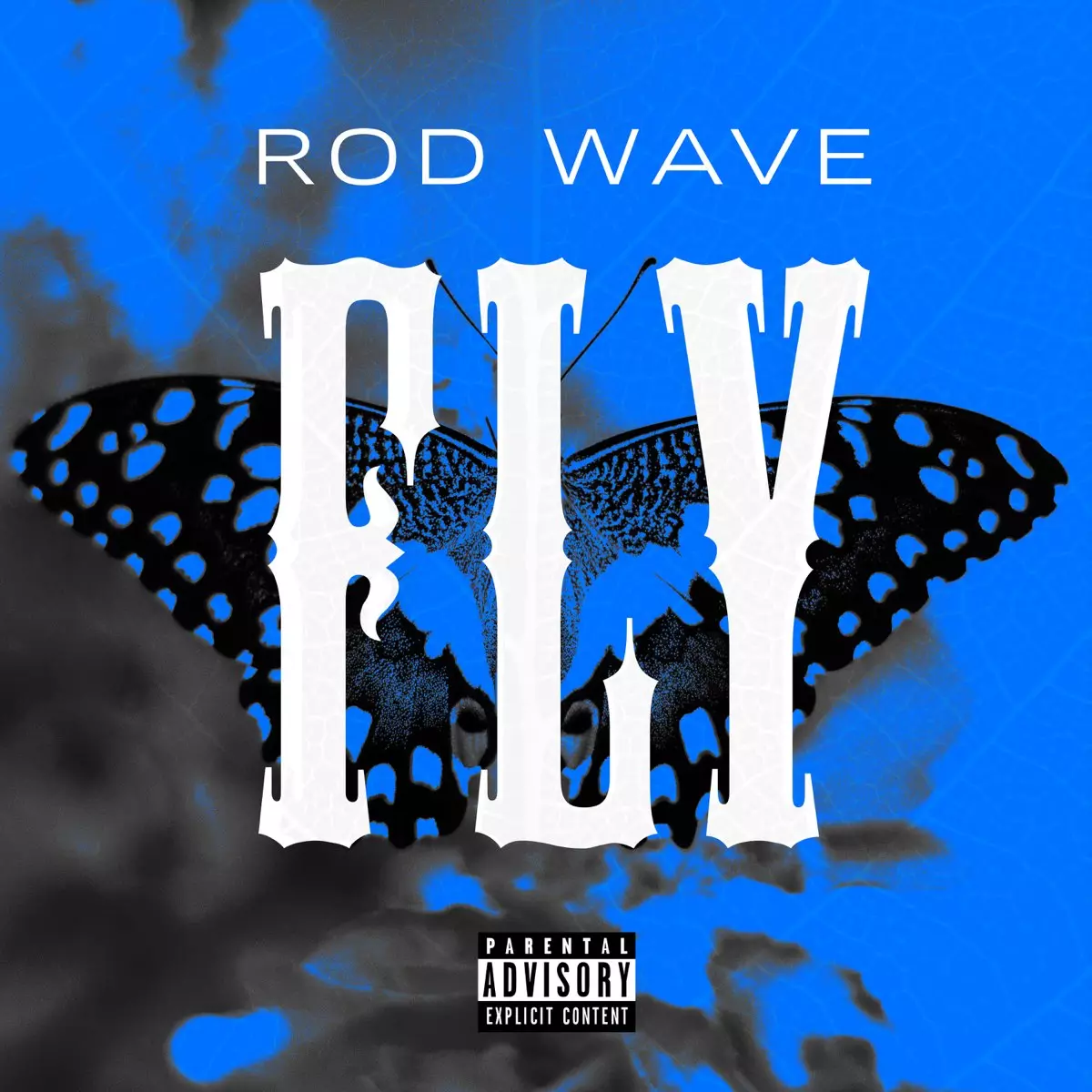 Fly - Single by Rod Wave on Apple Music