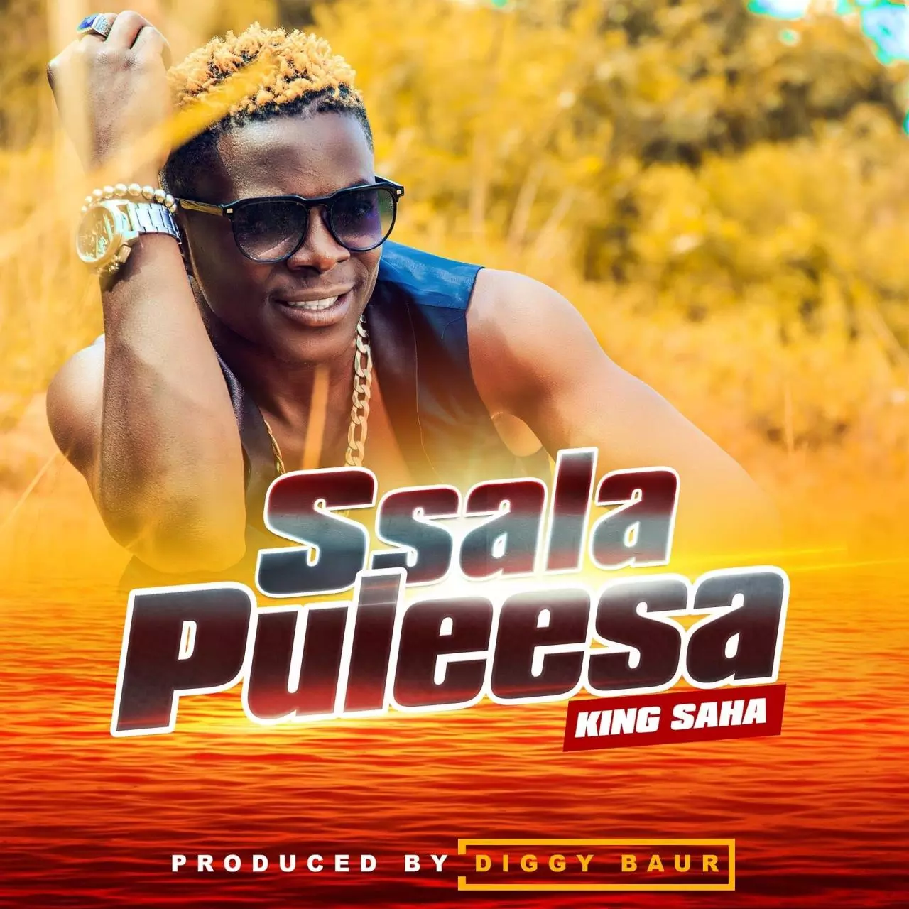 Ssala Puleesa by King Saha - MP3 Download, Audio Download - Howwe.ug