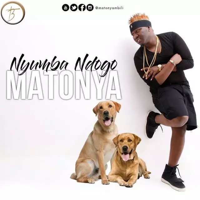 Download | Matonya - Nyumba Ndogo | Audio - Yinga Media