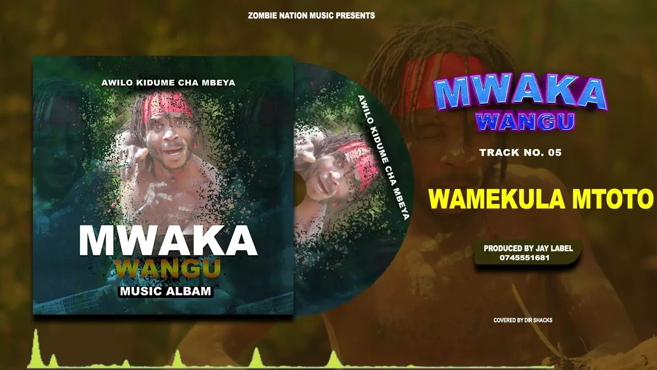 Awilo Kidume Cha Mbeya _ WAMEKULA MTOTO (Official Music Video) business  no:+255 745551681 - YouTube