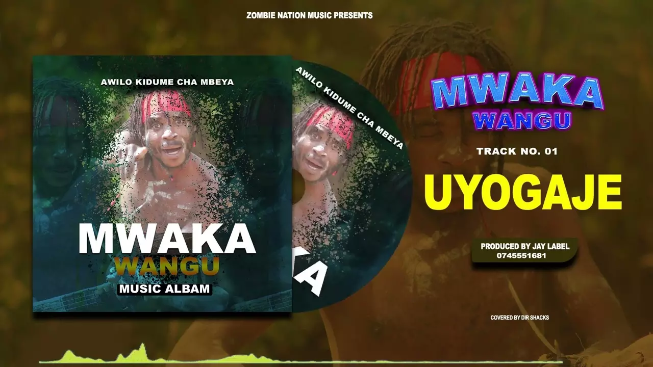 Awilo Kidume Cha Mbeya _ UYOGAJE (Official Music Video) business no:+255  745551681 - YouTube