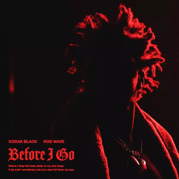 Before I Go (feat. Rod Wave) - Single by Kodak Black on Apple Music