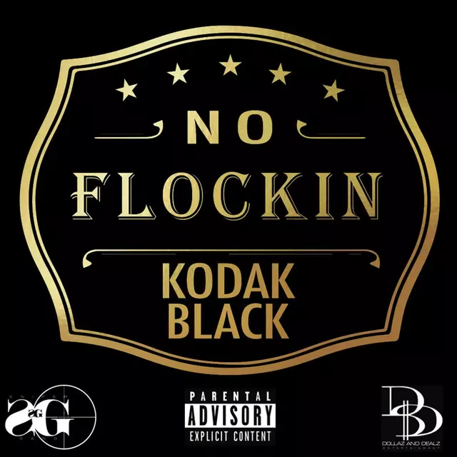 No Flockin' - song and lyrics by Kodak Black | Spotify