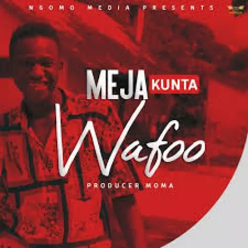 Wafoo by Meja Kunta - AfroCharts